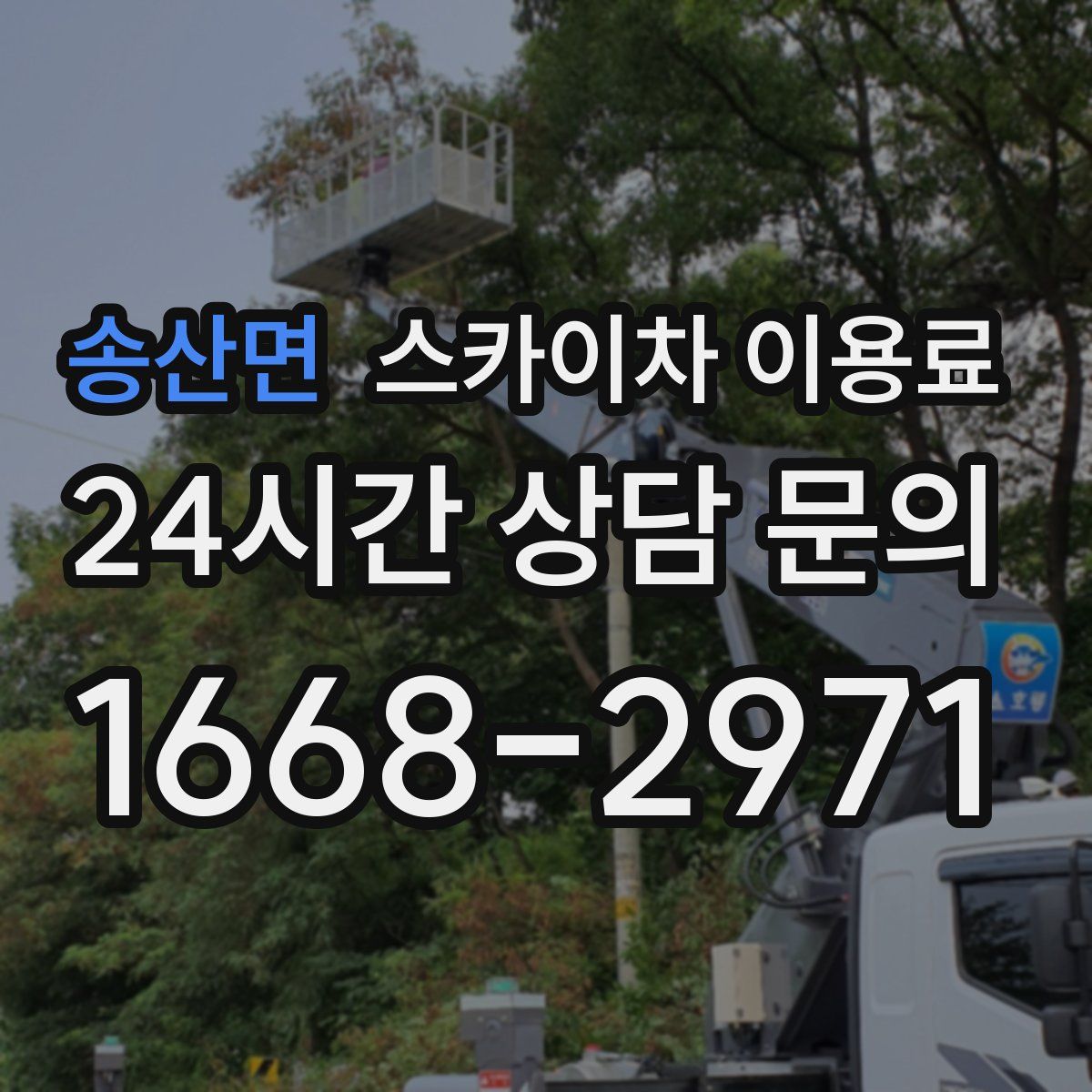 송산면 스카이차 이용료
