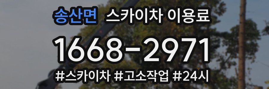 송산면 스카이차 이용료
