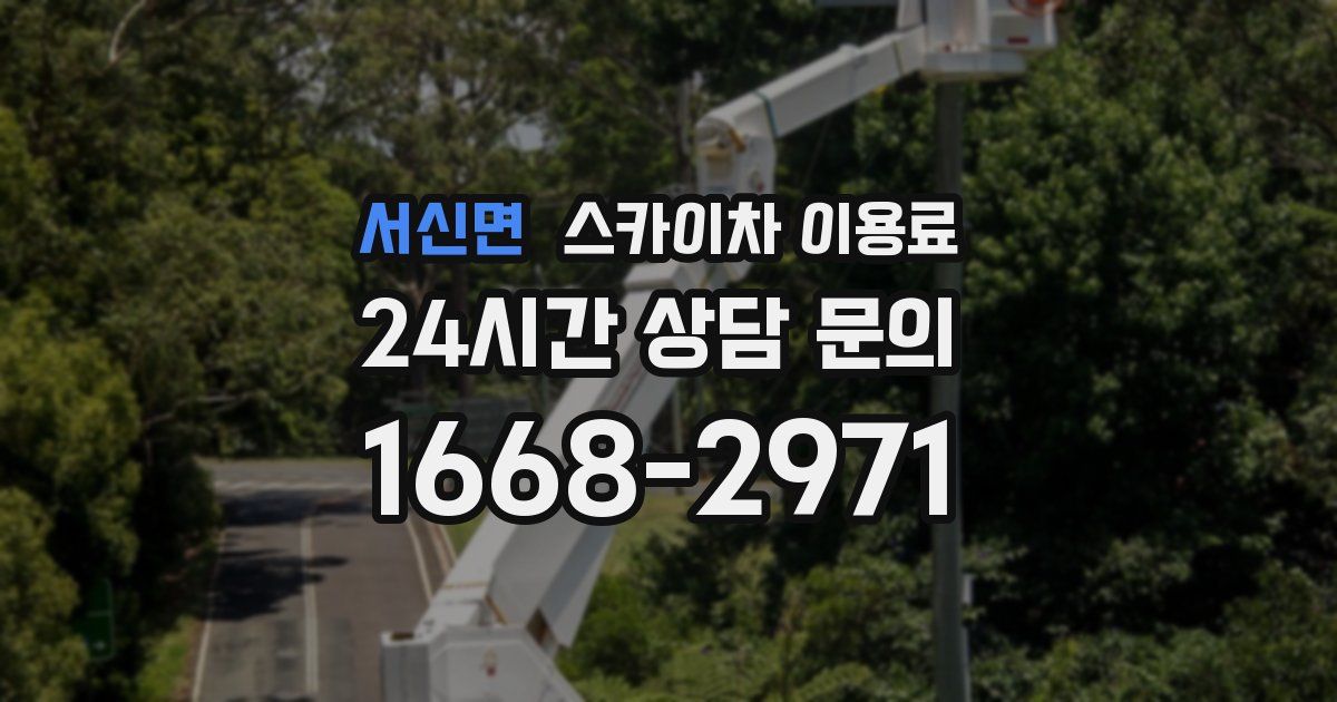 서신면 스카이차 이용료