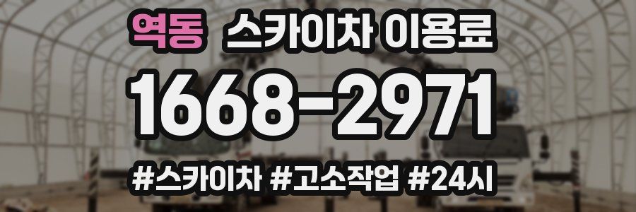 역동 스카이차 이용료