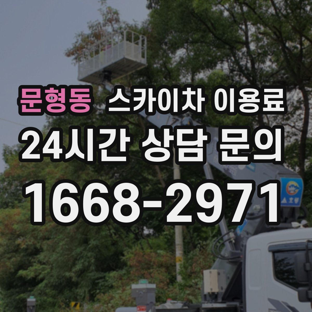 문형동 스카이차 이용료