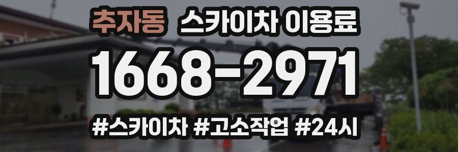 추자동 스카이차 이용료