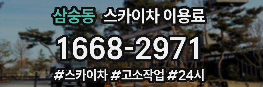삼숭동 스카이차 이용료