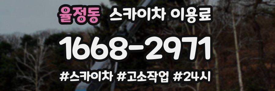 율정동 스카이차 이용료