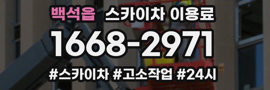 백석읍 스카이차 이용료