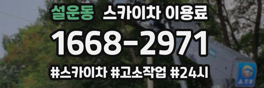 설운동 스카이차 이용료