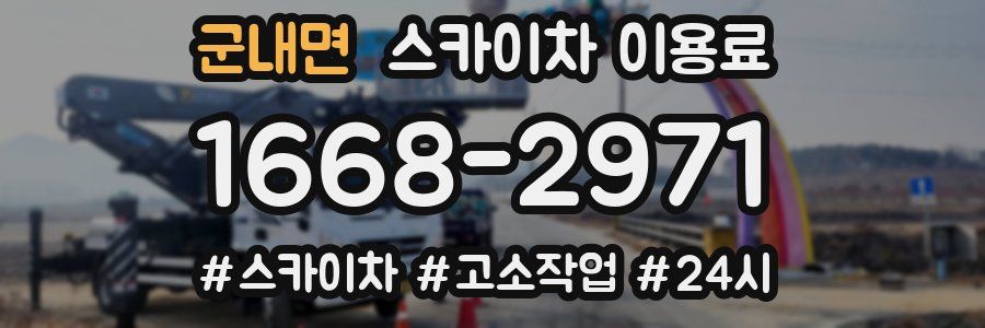 군내면 스카이차 이용료