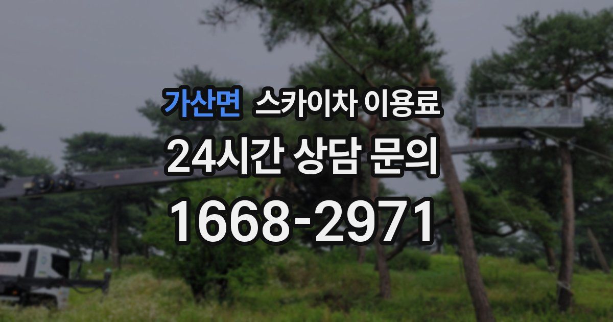 가산면 스카이차 이용료