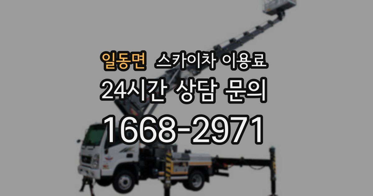 일동면 스카이차 이용료