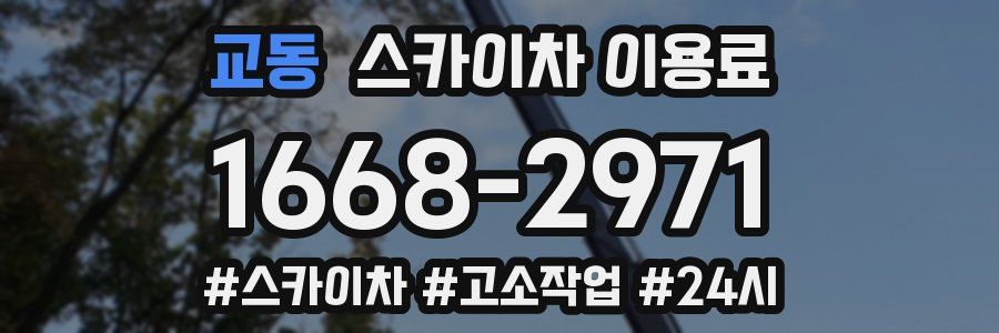 교동 스카이차 이용료