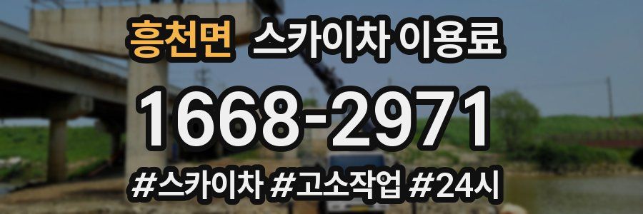 흥천면 스카이차 이용료