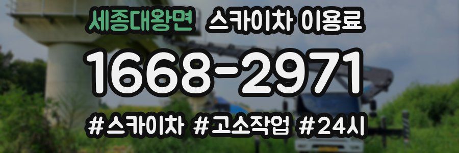 세종대왕면 스카이차 이용료