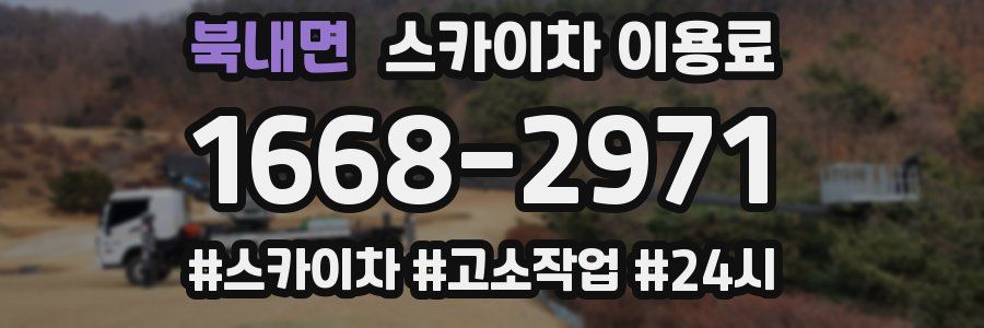 북내면 스카이차 이용료