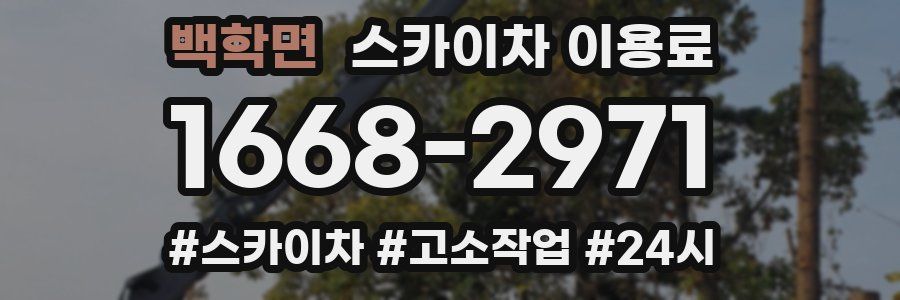백학면 스카이차 이용료