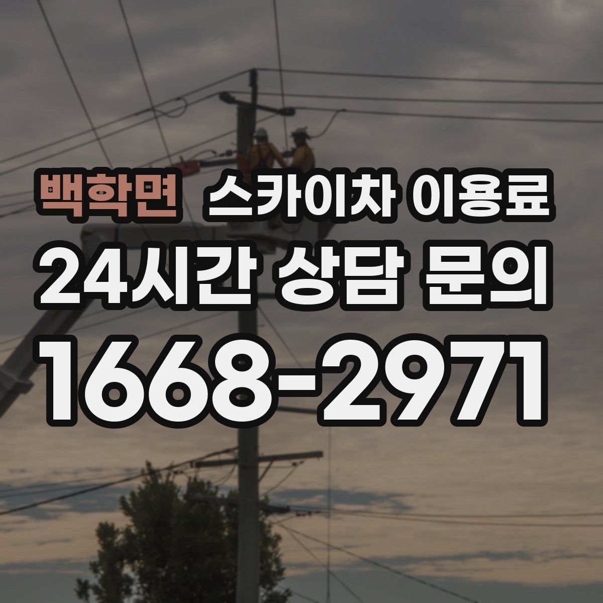 백학면 스카이차 이용료