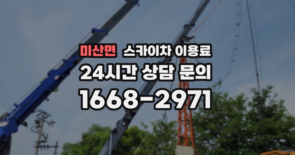미산면 스카이차 이용료