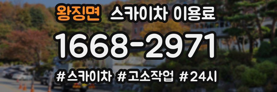 왕징면 스카이차 이용료