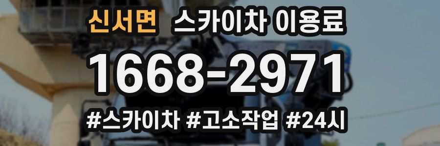 신서면 스카이차 이용료