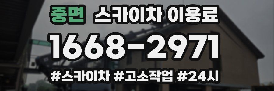 중면 스카이차 이용료