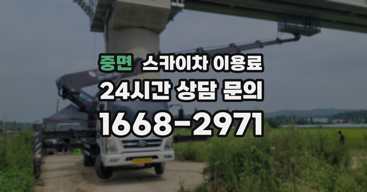 중면 스카이차 이용료