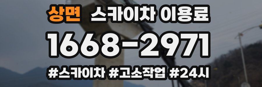 상면 스카이차 이용료