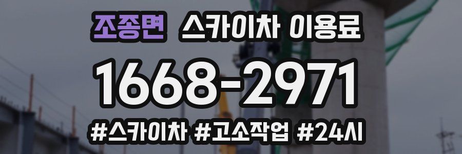 조종면 스카이차 이용료