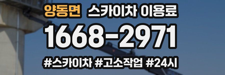 양동면 스카이차 이용료