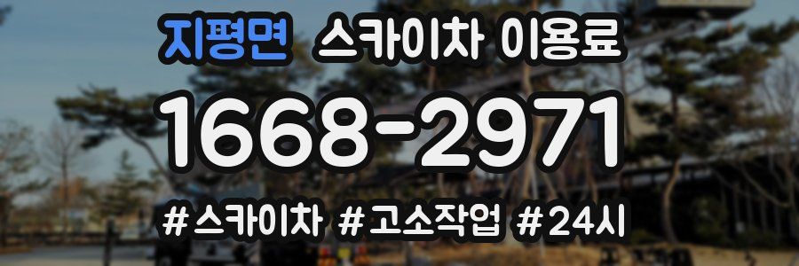 지평면 스카이차 이용료