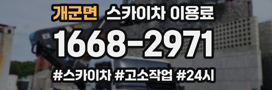 개군면 스카이차 이용료