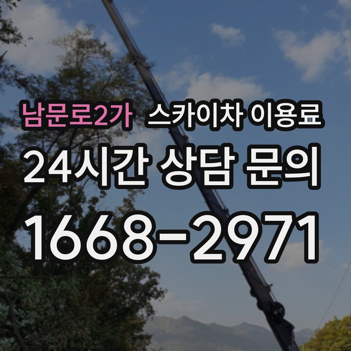 남문로2가 스카이차 이용료
