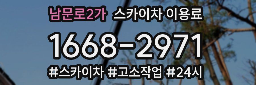 남문로2가 스카이차 이용료