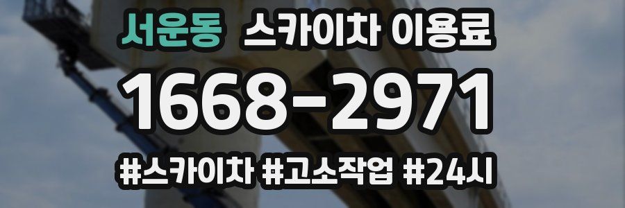 서운동 스카이차 이용료