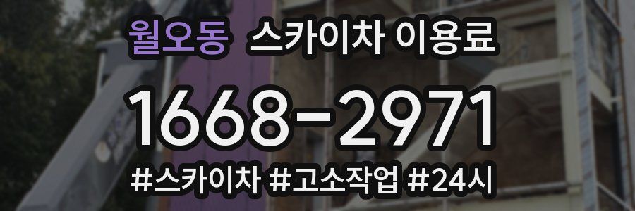 월오동 스카이차 이용료
