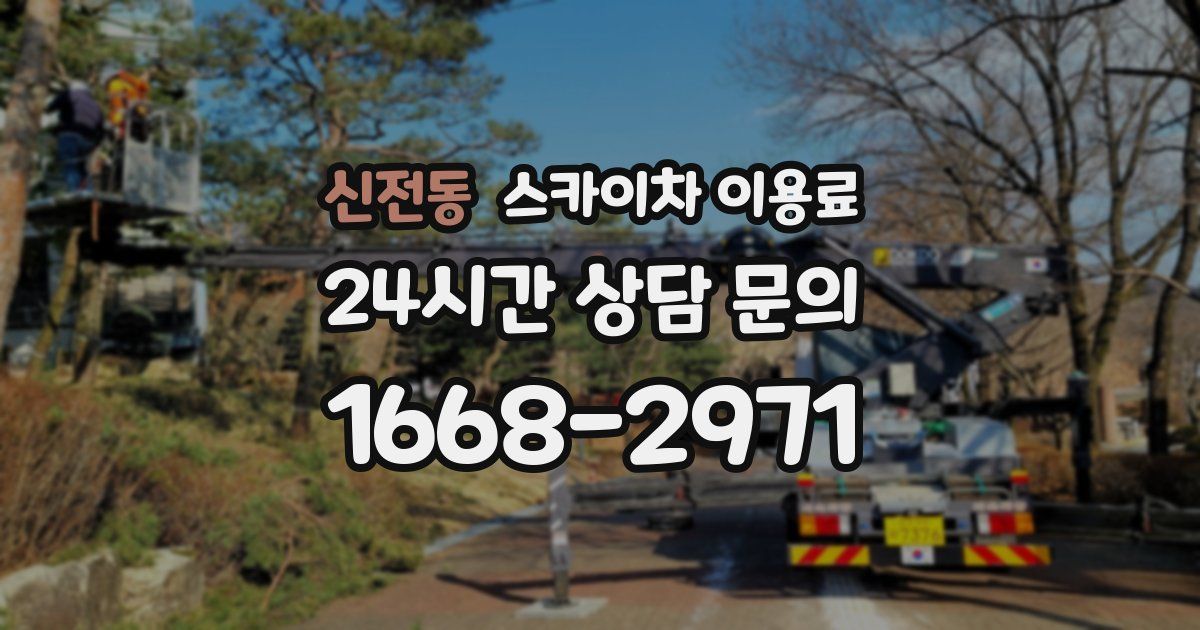 신전동 스카이차 이용료