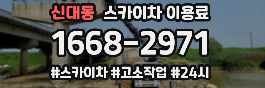 신대동 스카이차 이용료