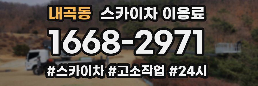 내곡동 스카이차 이용료