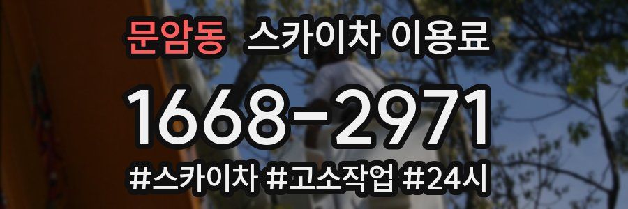 문암동 스카이차 이용료