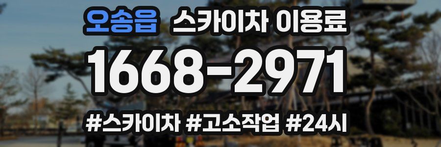 오송읍 스카이차 이용료