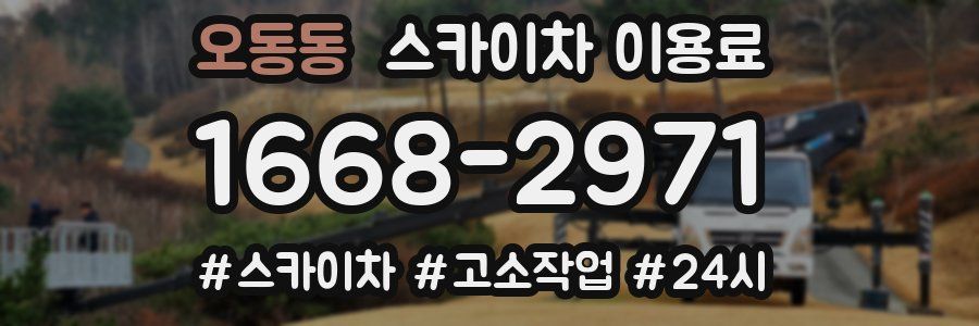 오동동 스카이차 이용료