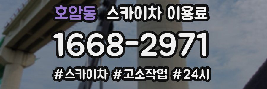 호암동 스카이차 이용료