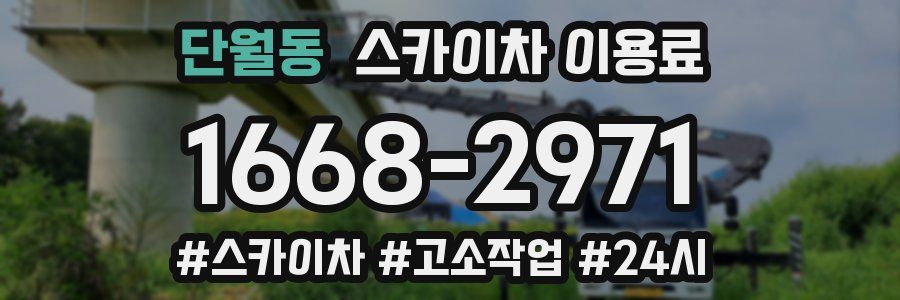 단월동 스카이차 이용료