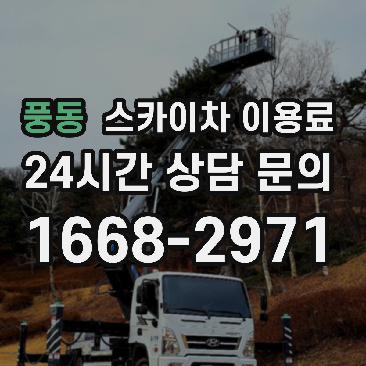 풍동 스카이차 이용료