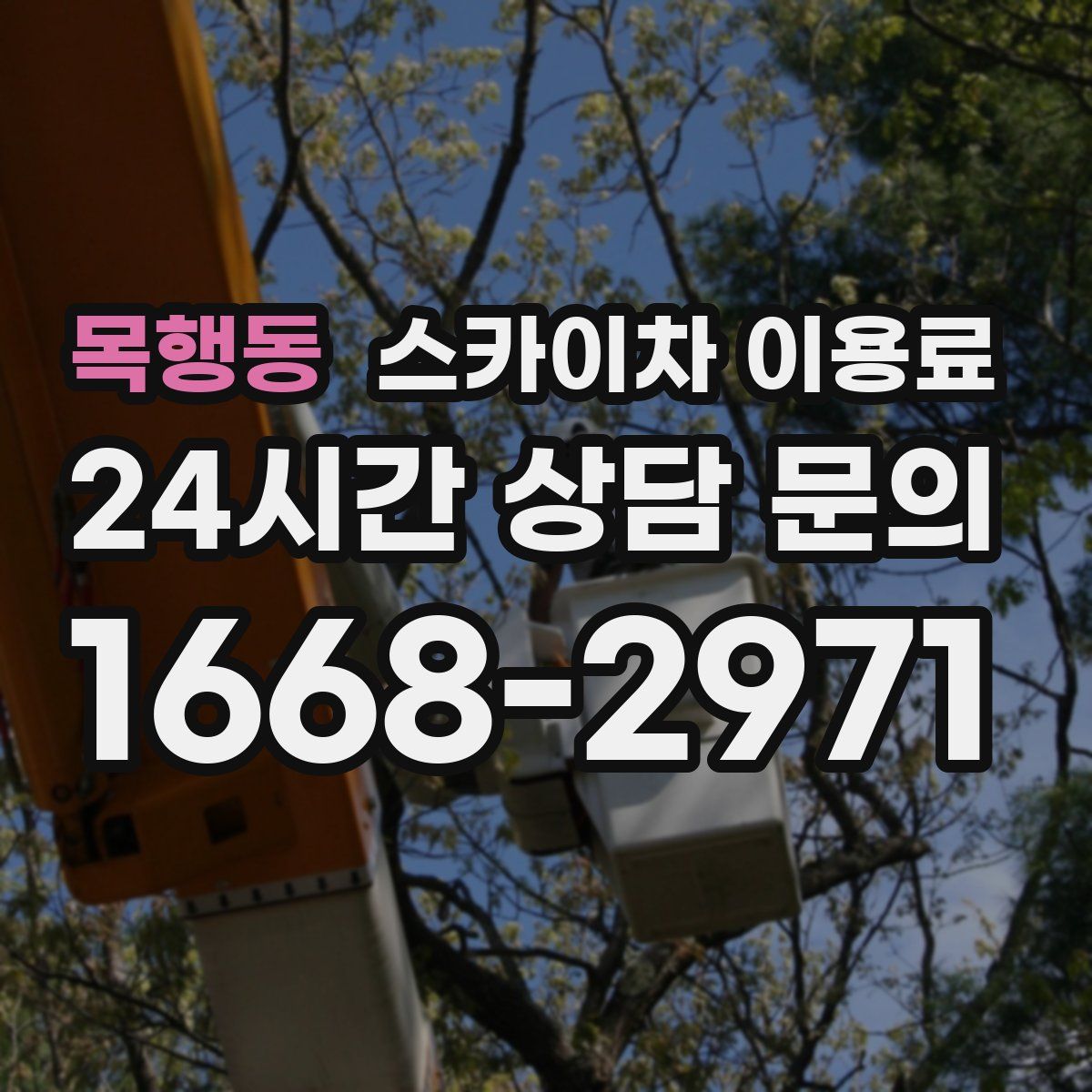 목행동 스카이차 이용료