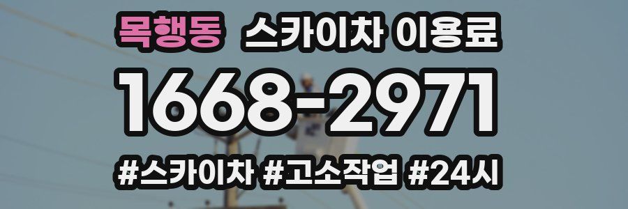 목행동 스카이차 이용료