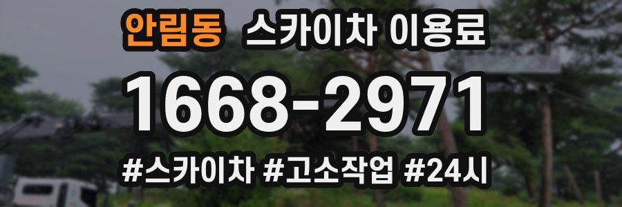 안림동 스카이차 이용료
