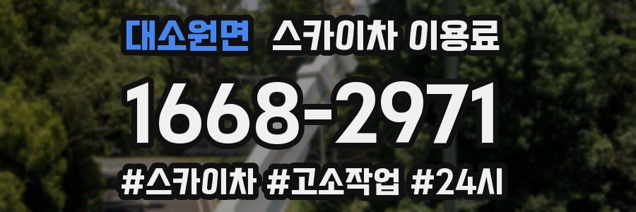 대소원면 스카이차 이용료