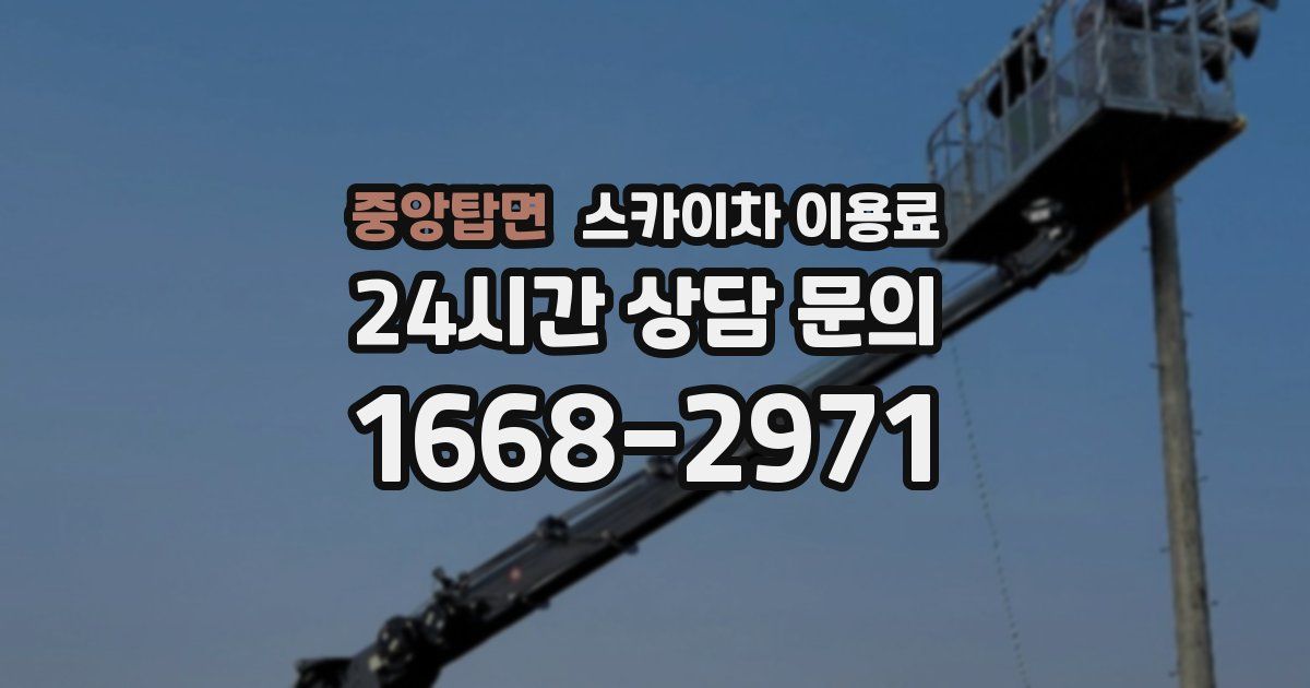 중앙탑면 스카이차 이용료