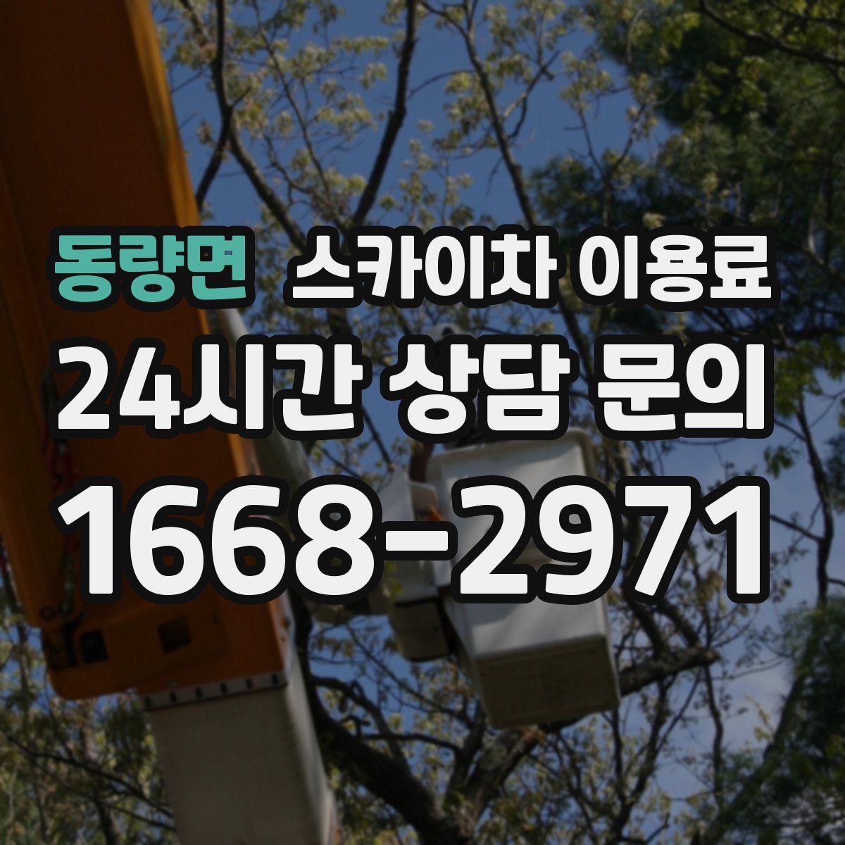 동량면 스카이차 이용료