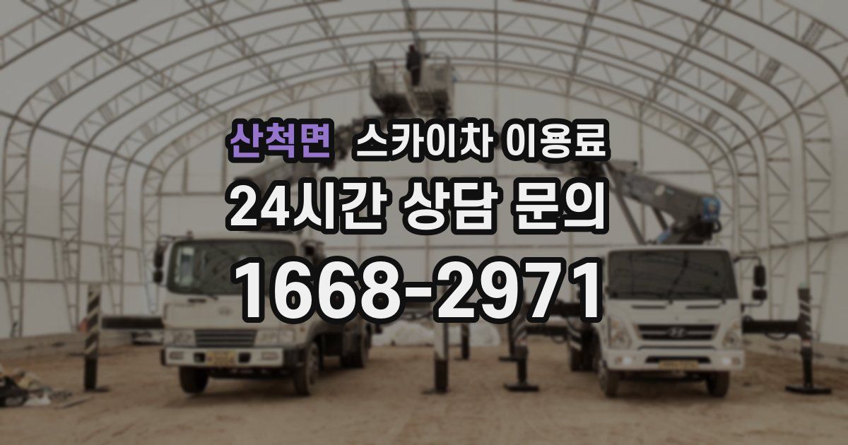 산척면 스카이차 이용료
