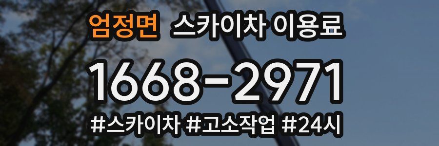 엄정면 스카이차 이용료